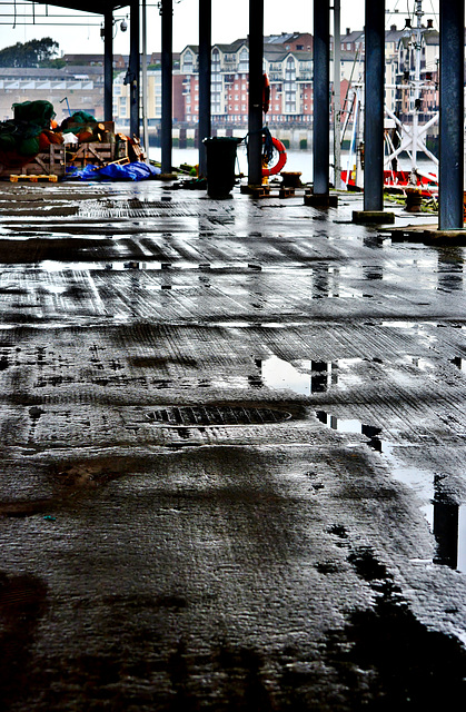 N.Shields Fishquay after the rain.