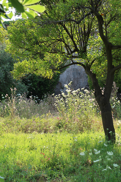 The grounds of our hotel