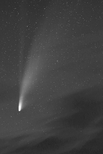 Comet Neowise (C/2020 F3) (view on black)