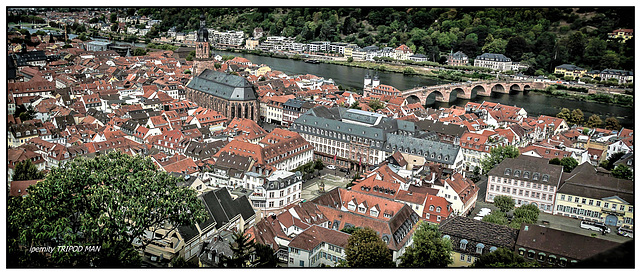 HEIDELBERG