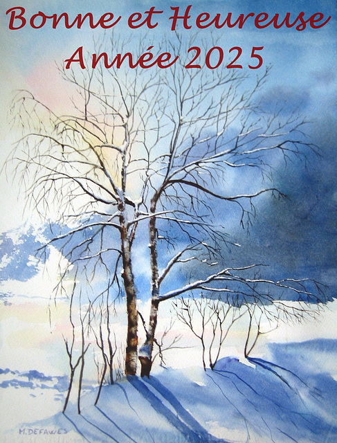 Bonne année à tous et toutes