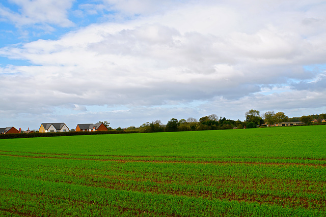 Gnosall autumn fields