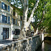 Avignon - Rue des Teinturiers