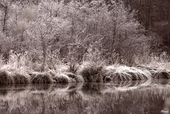 L'hiver arrive L'hiver arrive