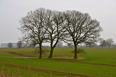 Staffordshire fields near Haughton