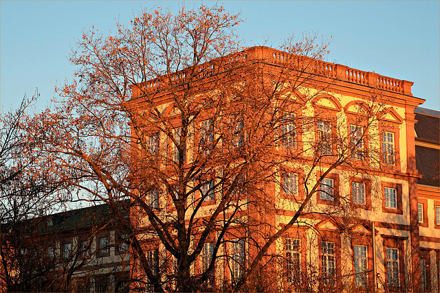 Mannheimer Schloß im rötlichen Licht