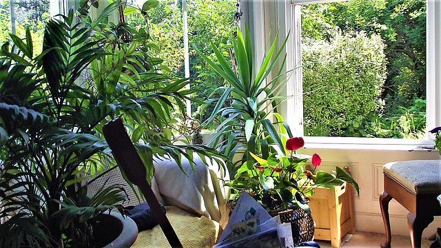 The slightly re-arranged lounge - to give better access to the windows