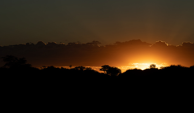 la primera puesta de sol en el desierto