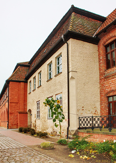 Dobbertin, Kloster