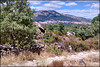 El Escorial from the Roman road