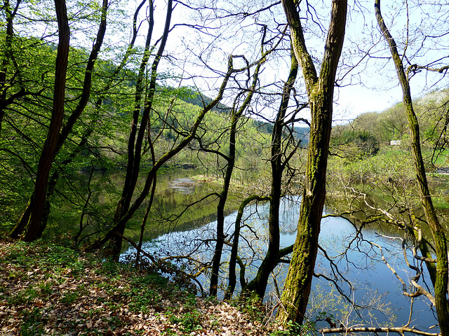 DE - Simmerath - near Einruhr