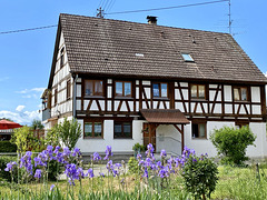 Fachwerkbau