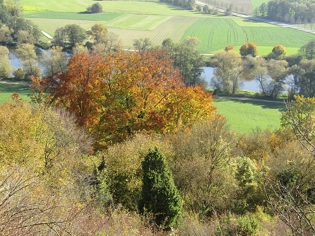 Herbstblick ins Naabtal