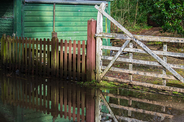 Puddle with Fences Reflection