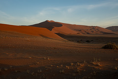 Deadvlei