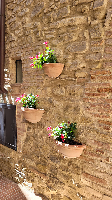 Blumen-Wand