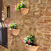 Blumen-Wand