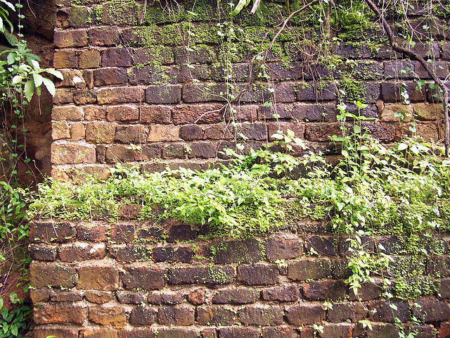 Prison Wall, Devils Island (HWW)