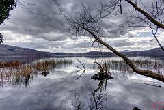 LaacherSee