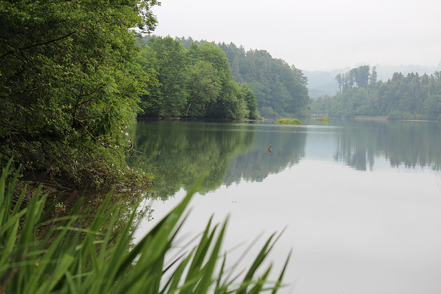 Gübsensee