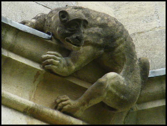 St John's College grotesque