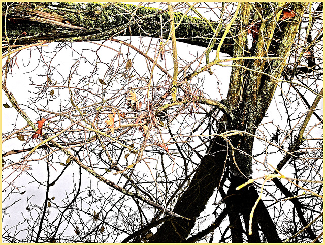 Winterwasser