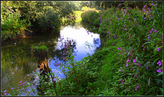 Meandering
