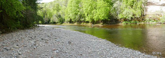 Views along the edge of the River Findhorn from the Sluie Walks' Loops on the Earl of Moray's Estate.