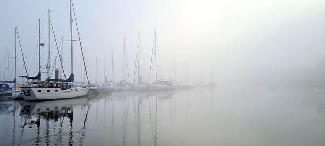 River in the fog