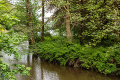 L'Étang du Pont d'Oye et le long de la Rulles
