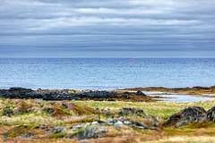 Barents Sea