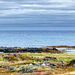 Barents Sea