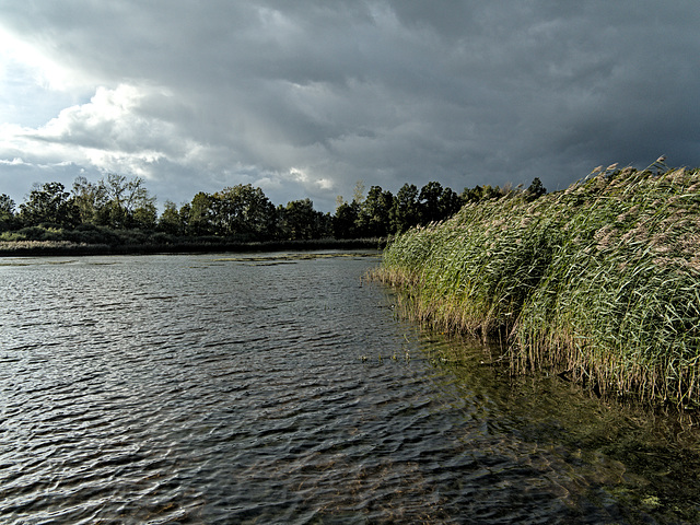 Dippeldsdorfer Teich