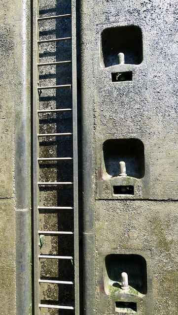 In der Schleusenkammer bei Dossenheim