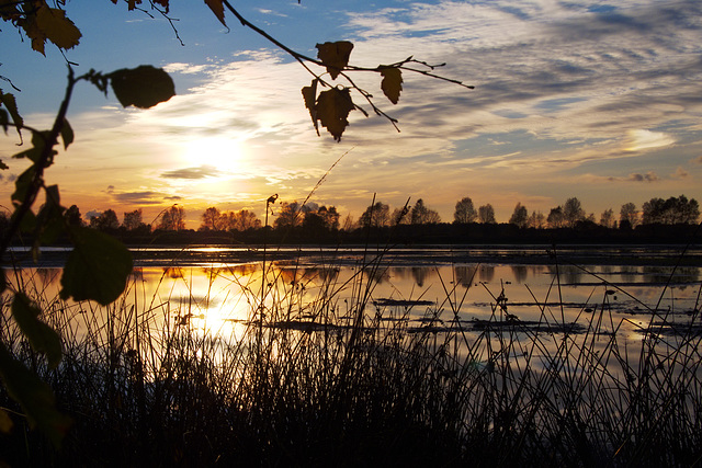 Bargerveen