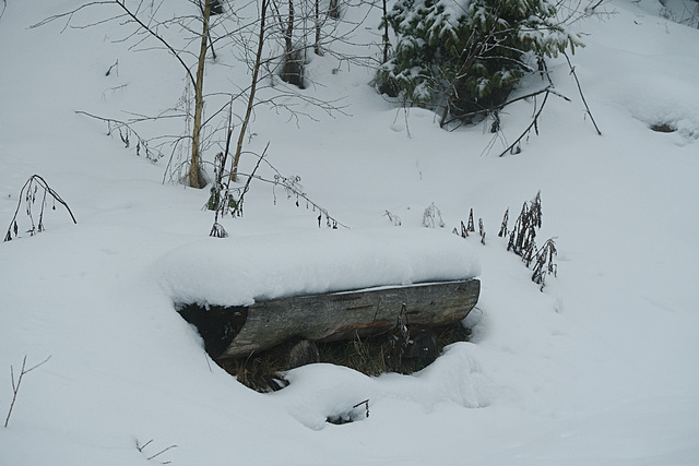 Bench. Snow. And everything.