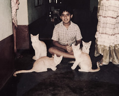 His cats