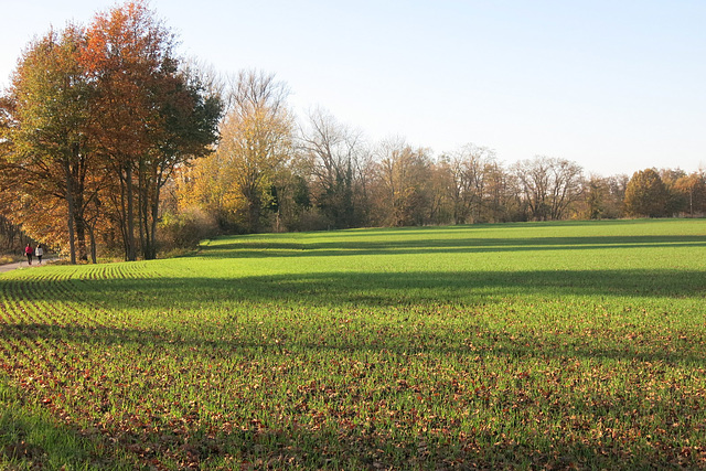 Du côté de Montrond-les-Bains (département de la Loire)