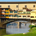 #39 - Mariagrazia Gaggero - Il Ponte Vecchio e i ponti sull'Arno a Firenze - 5̊ 7points