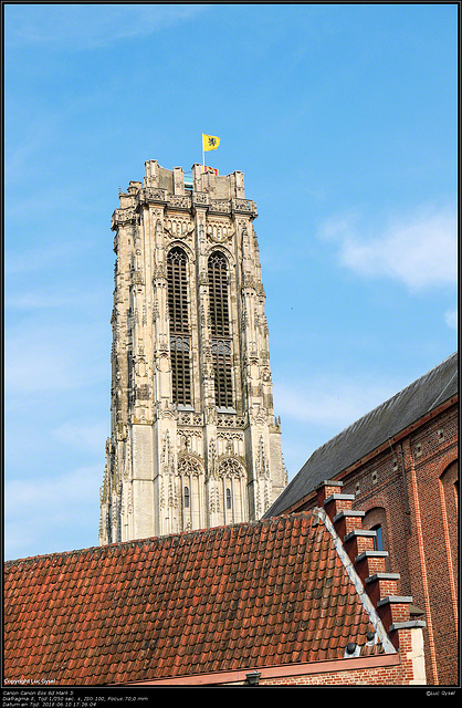 IMG 1657.jpg PSPX9 2018 06 11 Mechelen