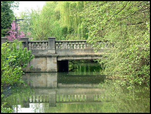 Pacey's Bridge in spring