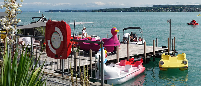 Bebunteter Bodensee