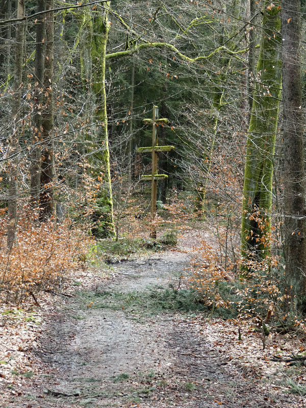 Blick zu den Dreikreuz