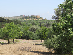 Agrigente, temple de Junon.