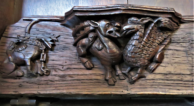 boston church,lincs (86)c14 misericord gryphon, tusked beast