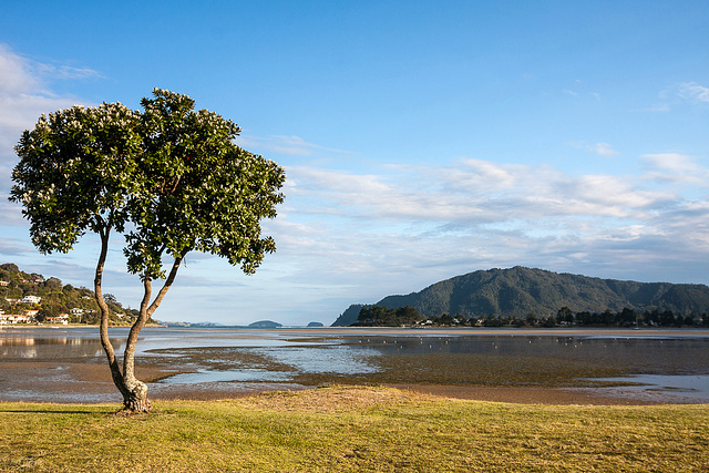 Tairua