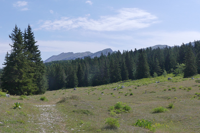 20170718 -23 Randos St Agnan en Vercors (103) al