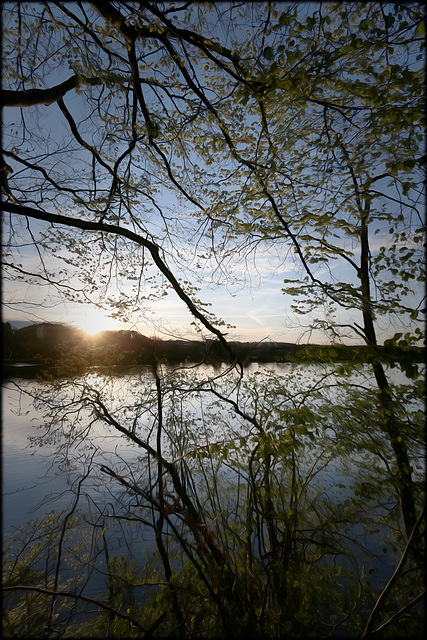 am Bärensee