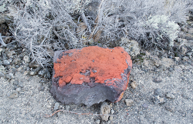 Lava Beds Natl Mon Fleener Chimneys, CA (0923)