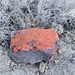 Lava Beds Natl Mon Fleener Chimneys, CA (0923)